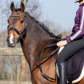 Ogłowie bezwędzidłowe Sunna Czarne Ogłowie bezwędzidłowe Sunna Czarne