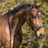 Ogłowie bezwędzidłowe Anatomical Czarne Ogłowie bezwędzidłowe Anatomical Czarne