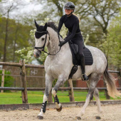 Ogłowie anatomiczne Salerno Czarne Ogłowie anatomiczne Salerno Czarne