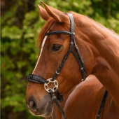 Ogłowie Hackamore Sensitive X-Line Czarne Ogłowie Hackamore Sensitive X-Line Czarne