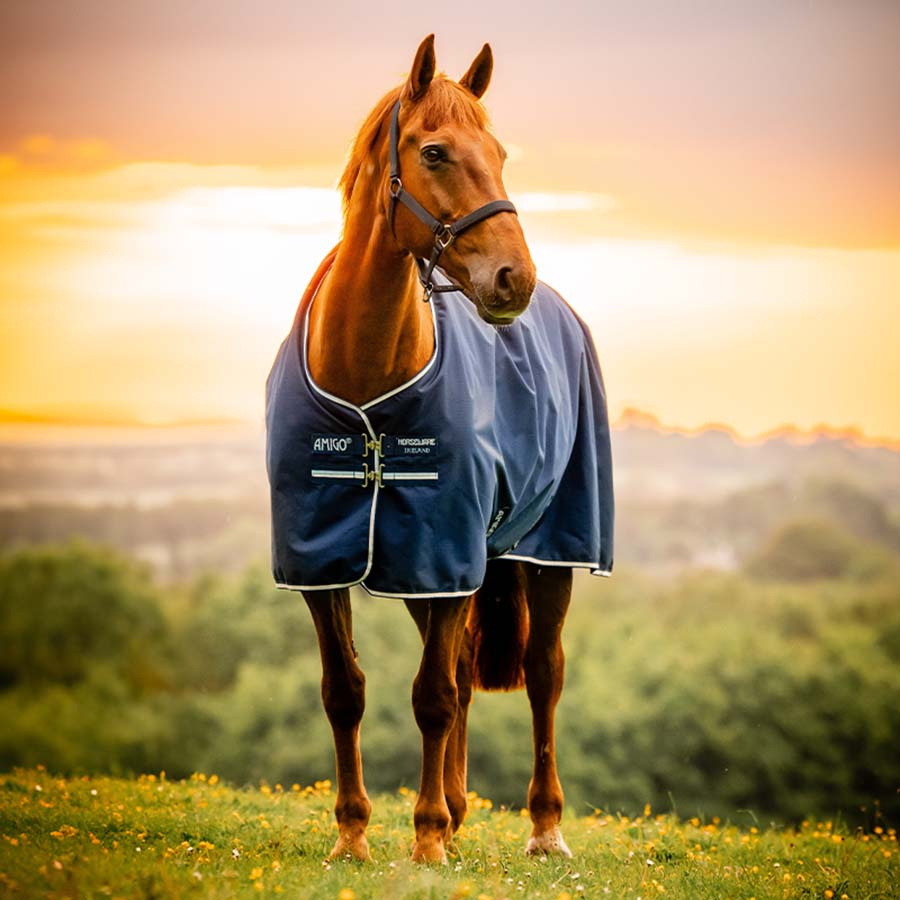 Derka przeciwdeszczowa Amigo Ripstop 900D Fleece Lined 50g Witney Granatowa