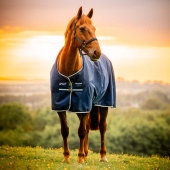 Derka przeciwdeszczowa Amigo Ripstop 900D Fleece Lined 50g Witney Granatowa Derka przeciwdeszczowa Amigo Ripstop 900D Fleece Lined 50g Witney Granatowa