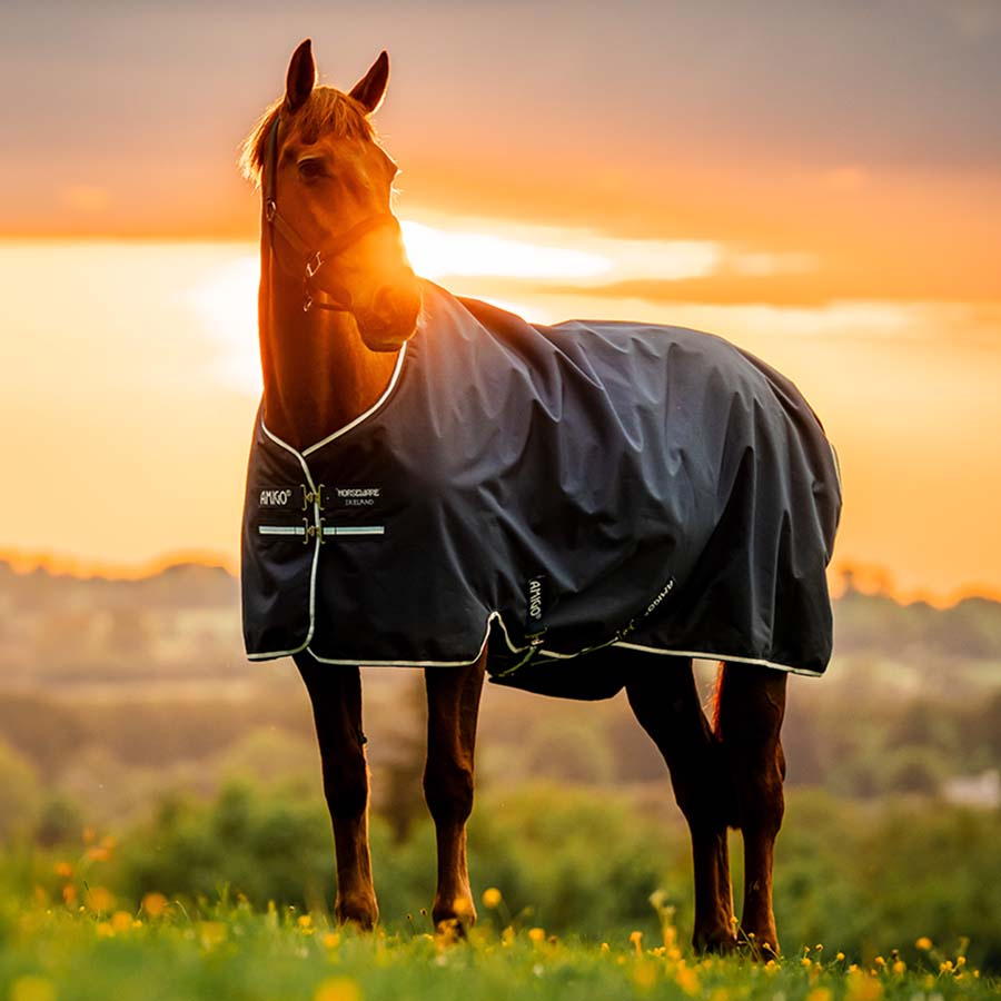 Derka przeciwdeszczowa Amigo Ripstop 900D Fleece Lined 50g Witney Granatowa