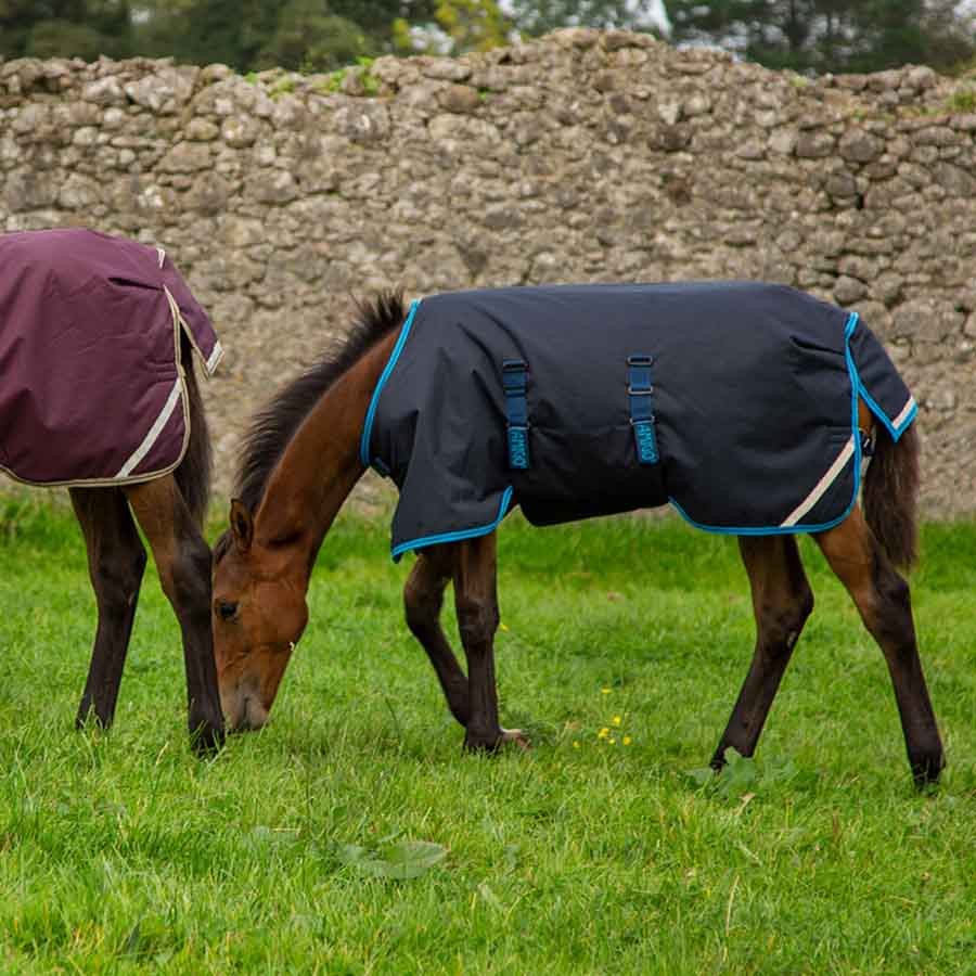 Derka dla źrebiąt Amigo Ripstop 200g Granatowo/Błękitna