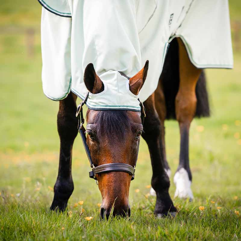 Derka egzemowa/przeciw owadom Rambo Hoody z kapturem Jasna zieleń