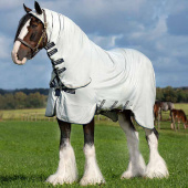 Derka egzemowa/przeciw owadom Rambo Hoody XLJasna zieleń Derka egzemowa/przeciw owadom Rambo Hoody XLJasna zieleń