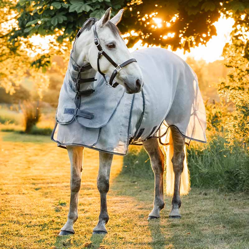 Derka przeciw owadom Rambo Optimo Protector Plus Srebrno/Szara