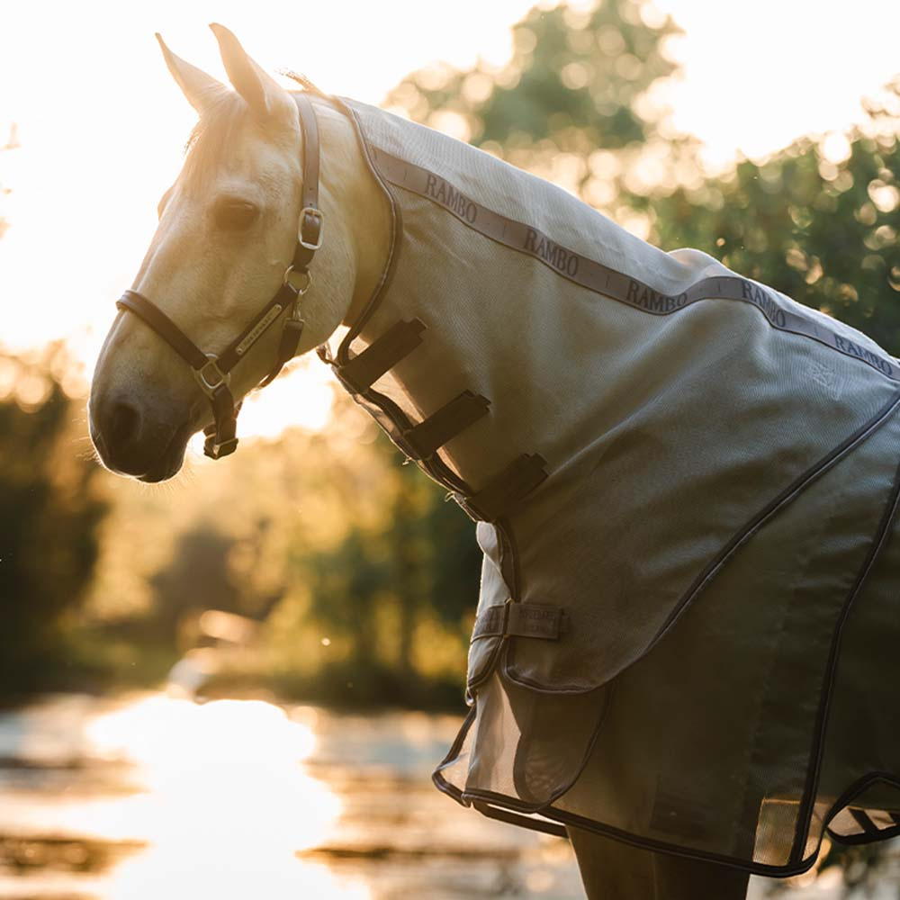 Derka przeciw owadom Rambo Optimo Protector Plus Srebrno/Szara