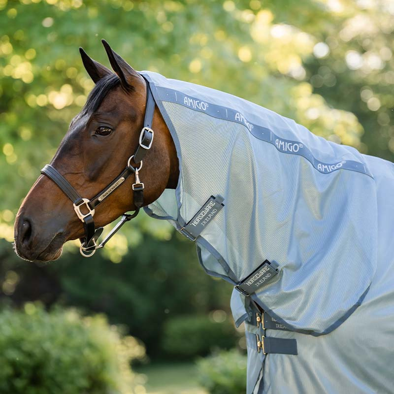 Derka przeciw owadom Amigo Integrated Błękit/Niebiesko/Srebrna
