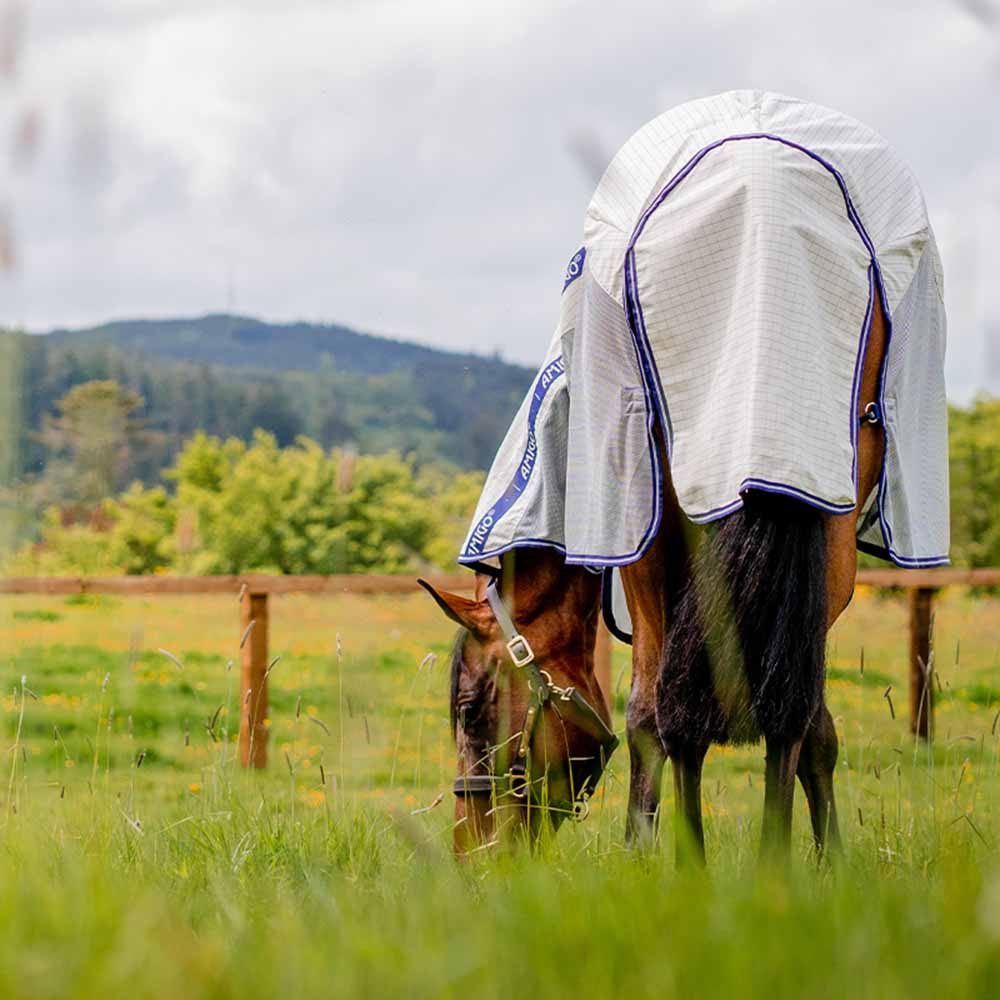 Derka letnia/przeciw owadom Amigo Airflow Plus Biało/Szaro/Niebieska