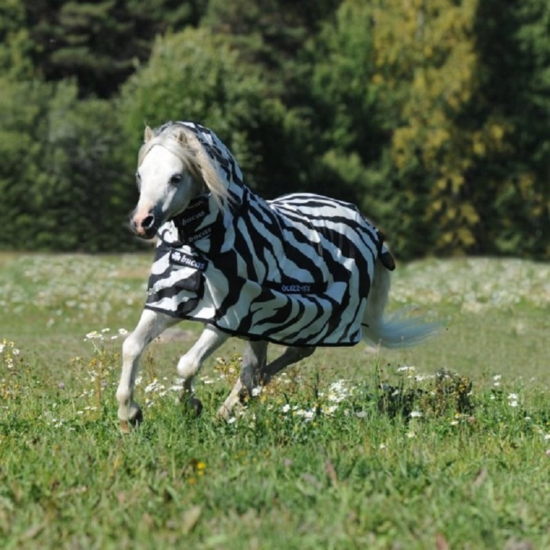 Derka przeciw owadom Buzz-Off Zebra
