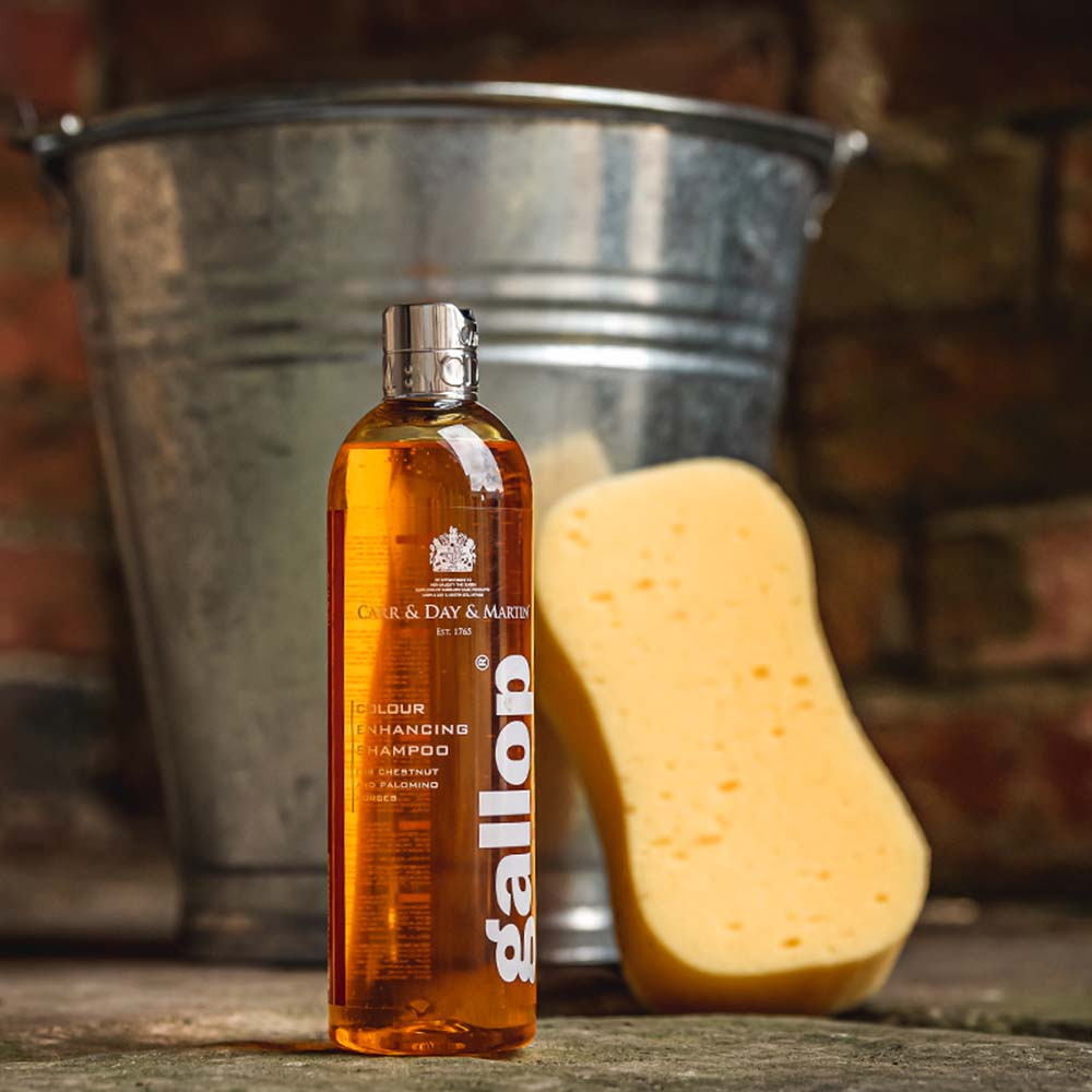 Szampon Gallop Colour Rudy i Palomino 500ml