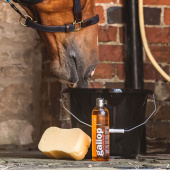 Szampon Gallop Colour Rudy i Palomino 500ml Szampon Gallop Colour Rudy i Palomino 500ml