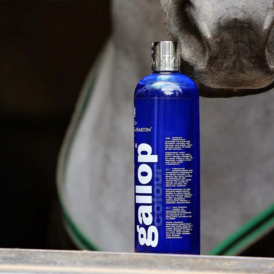 Szampon Gallop Colour Siwy 500ml