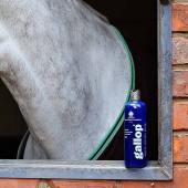 Szampon Gallop Colour Siwy 500ml Szampon Gallop Colour Siwy 500ml