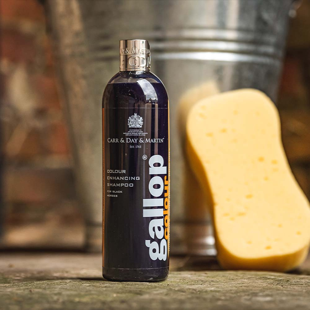 Szampon Gallop Colour Czarny 500ml