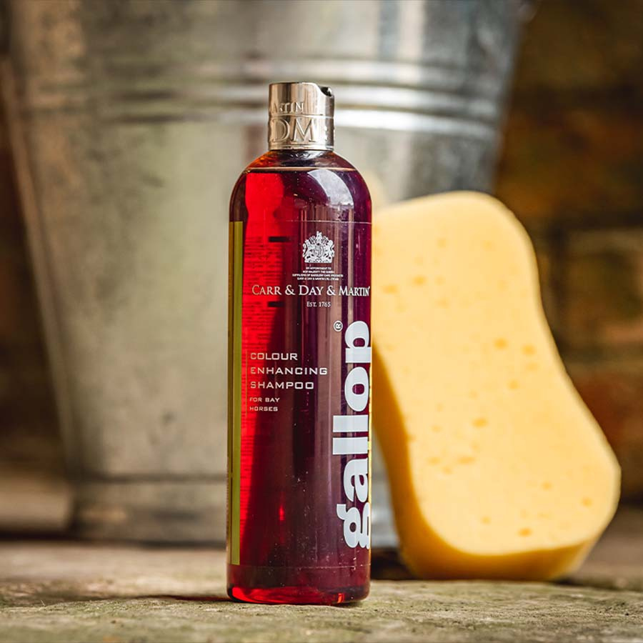 Szampon Gallop Colour Gniady 500ml