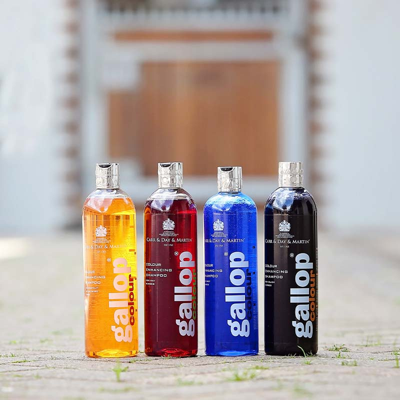 Szampon Gallop Colour Gniady 500ml