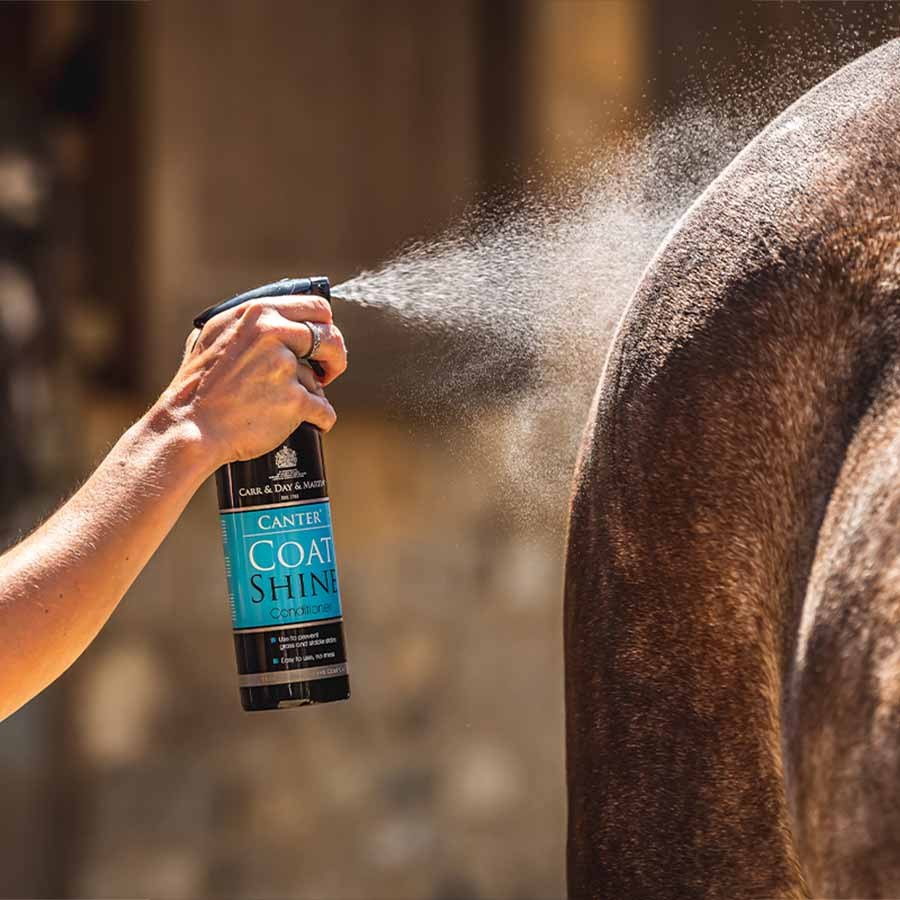 Spray nabłyszczający Canter 500ml