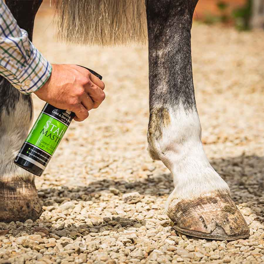 Suchy szampon Stain Master 500ml