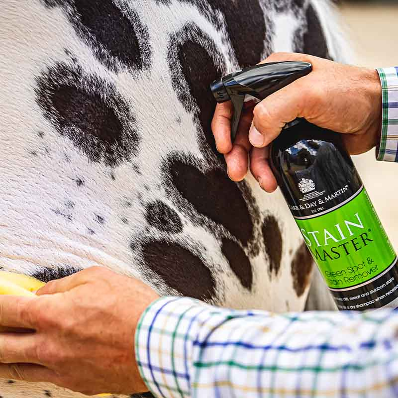 Suchy szampon Stain Master 500ml