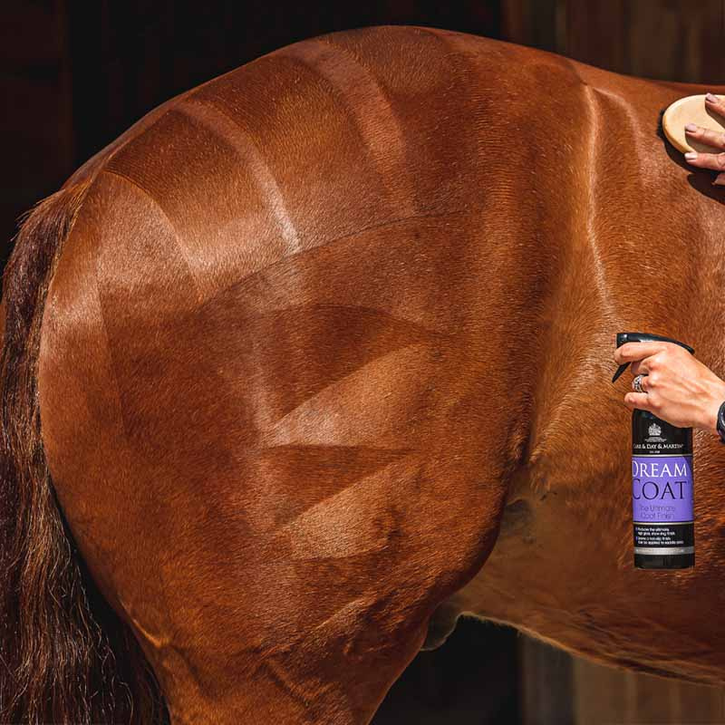 Zestaw pielęgnacyjny The Ultimate Grooming Duo