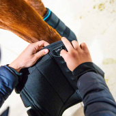 Ochraniacze chłodzące Ice-Vibe LED Czarno/Niebieskie Ochraniacze chłodzące Ice-Vibe LED Czarno/Niebieskie