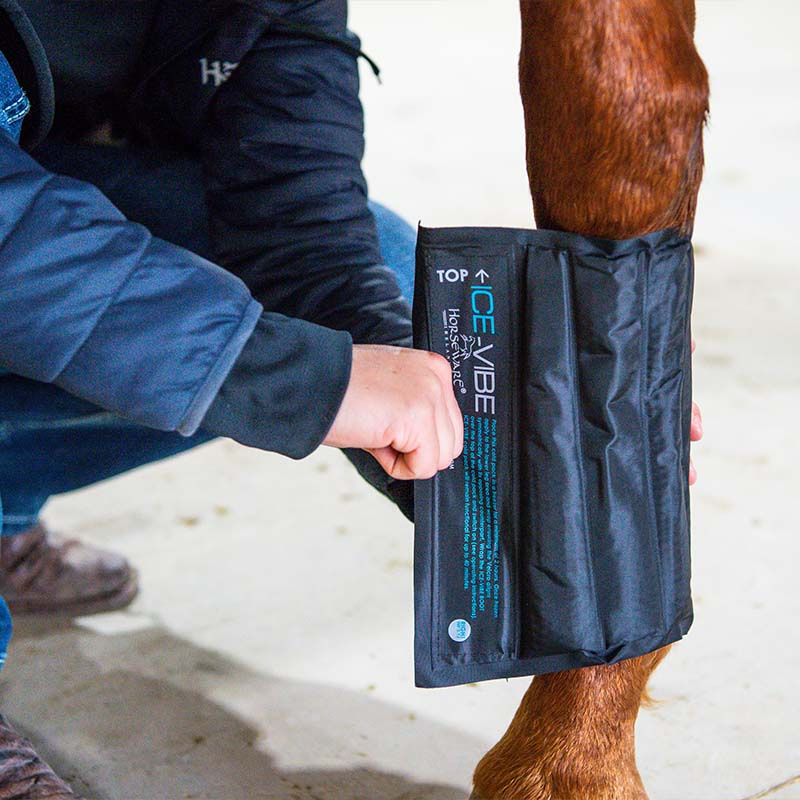 Ochraniacze chłodzące Ice-Vibe LED Czarno/Niebieskie