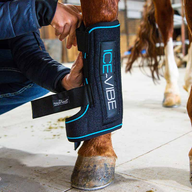 Ochraniacze chłodzące Ice-Vibe LED Czarno/Niebieskie