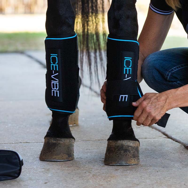 Ochraniacze chłodzące Ice-Vibe LED Czarno/Niebieskie