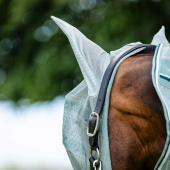 Maska przeciw owadom Newmarket Witney Dynasty Maska przeciw owadom Newmarket Witney Dynasty