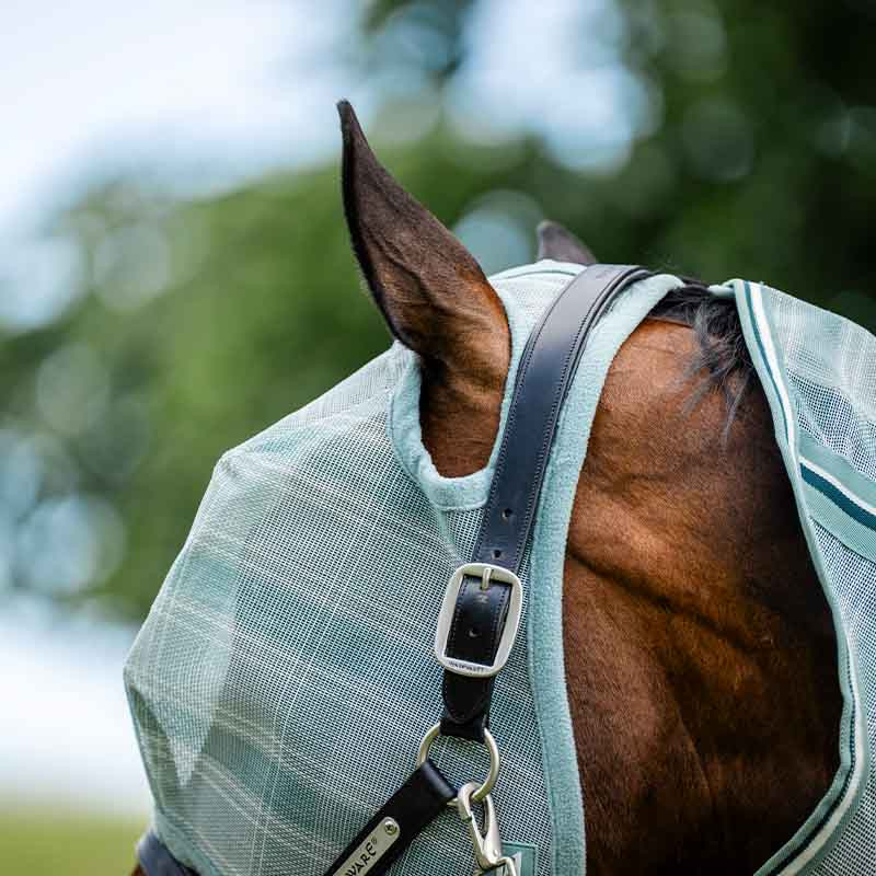 Maska przeciw owadom Newmarket No Ears Witney Dynasty