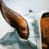 Maska przeciw owadom Newmarket No Ears Witney Dynasty Maska przeciw owadom Newmarket No Ears Witney Dynasty
