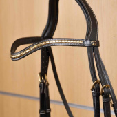 Naczółek V-form Brass Clincher Dyon Collection Czarny Naczółek V-form Brass Clincher Dyon Collection Czarny