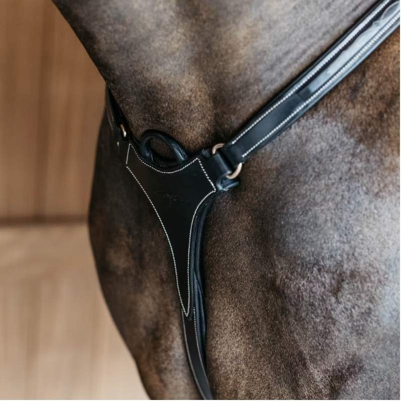 Napierśnik 5-punktowy Elastic Dyon Collection Czarny