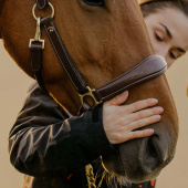 Kantar Grooming Artificial Leather Anatomic DC Brązowy Kantar Grooming Artificial Leather Anatomic DC Brązowy