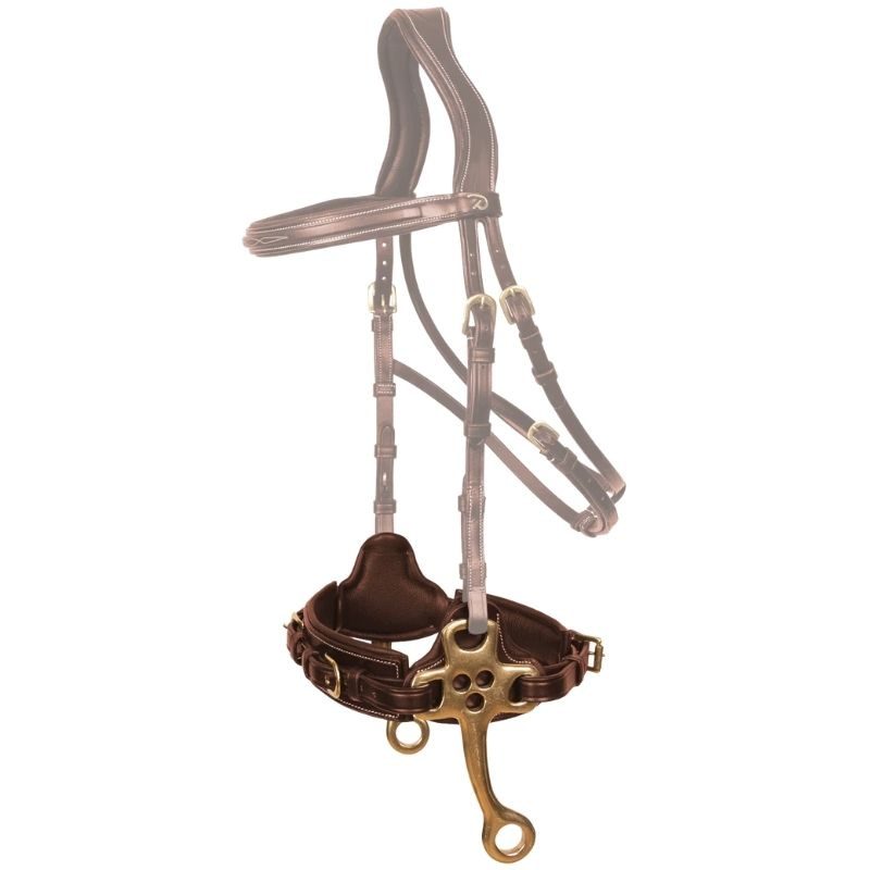 Hackamore Dyon Collection Brązowe