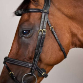 Ogłowie kombinowane Plaited Dyon Collection Czarne Ogłowie kombinowane Plaited Dyon Collection Czarne