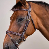 Ogłowie kombinowane Plaited Dyon Collection Brązowe Ogłowie kombinowane Plaited Dyon Collection Brązowe