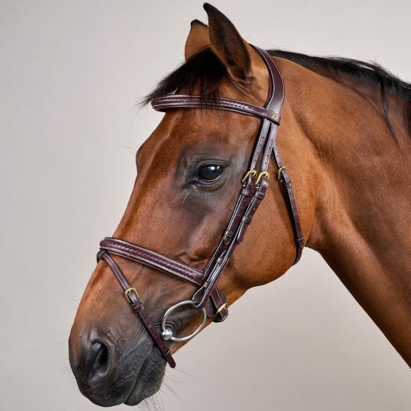 Ogłowie kombinowane Plaited Dyon Collection Brązowe