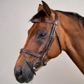 Ogłowie kombinowane Plaited Dyon Collection Brązowe Ogłowie kombinowane Plaited Dyon Collection Brązowe