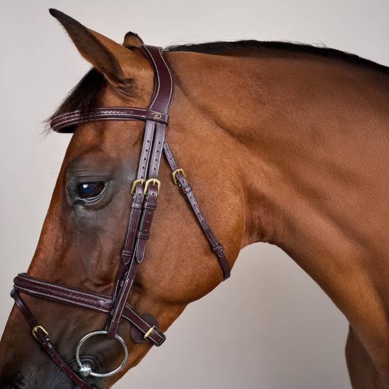 Ogłowie kombinowane Plaited Dyon Collection Brązowe