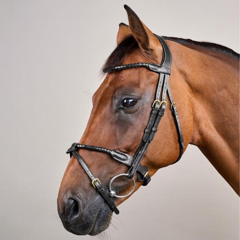 Ogłowie kombinowane Braided Dyon Collection Czarne