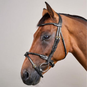Ogłowie kombinowane Braided Dyon Collection Czarne Ogłowie kombinowane Braided Dyon Collection Czarne