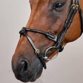 Ogłowie kombinowane Braided Dyon Collection Czarne Ogłowie kombinowane Braided Dyon Collection Czarne