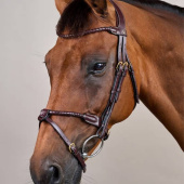 Ogłowie kombinowane Braided Dyon Collection Brązowe Ogłowie kombinowane Braided Dyon Collection Brązowe