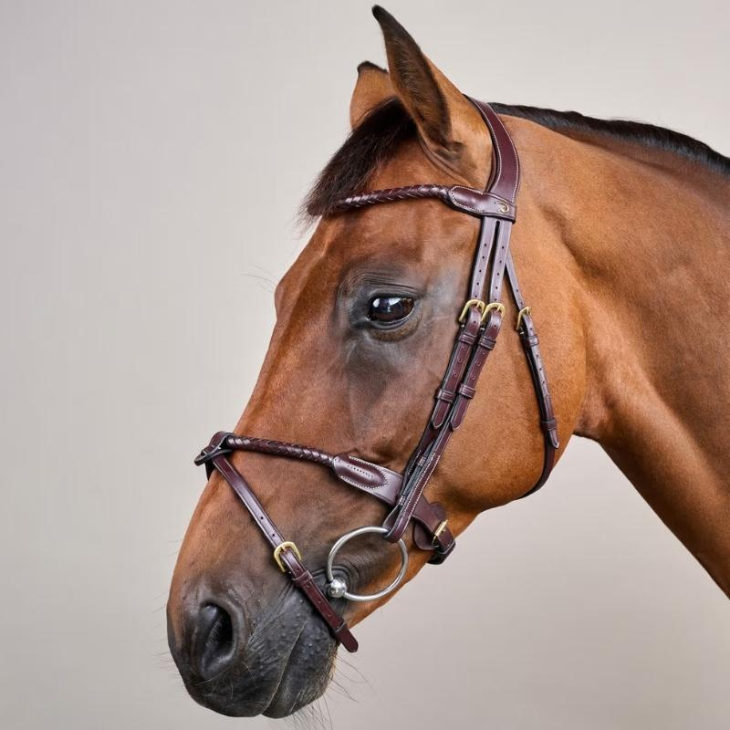 Ogłowie kombinowane Braided Dyon Collection Brązowe