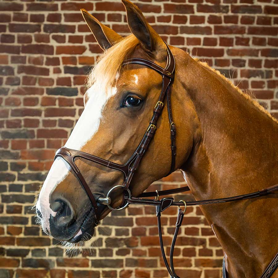 Ogłowie Anatomiczne X-Fit DC Brązowe