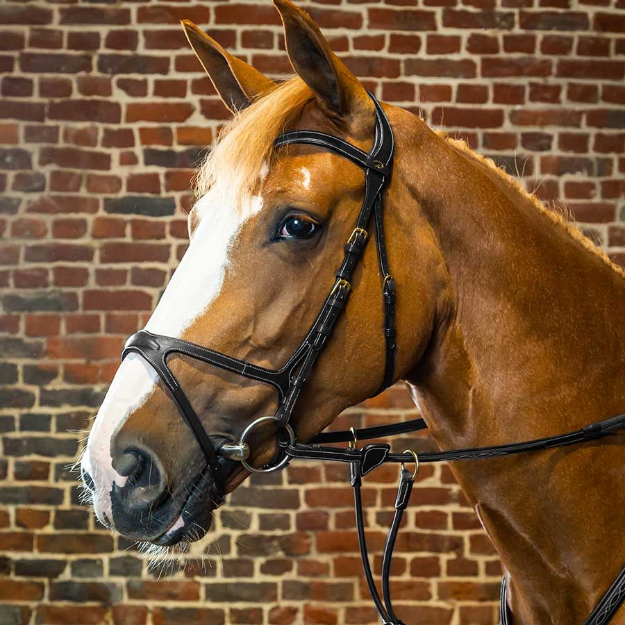 Ogłowie Anatomiczne X-Fit DC Czarne