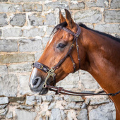 Ogłowie Hackamore DC Brązowe Ogłowie Hackamore DC Brązowe